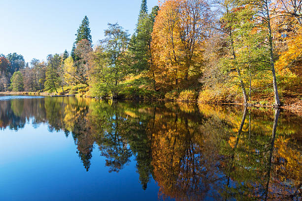 istock Forest lake in autumn colors 486446298