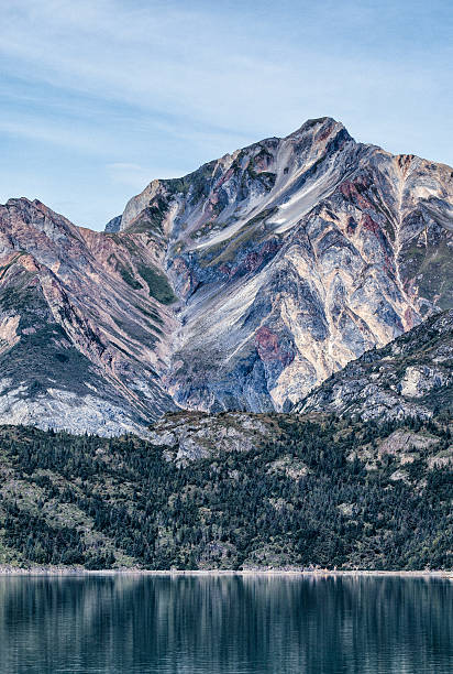 istock Glacier Bay National Park and Preserve, Alaska 486450030