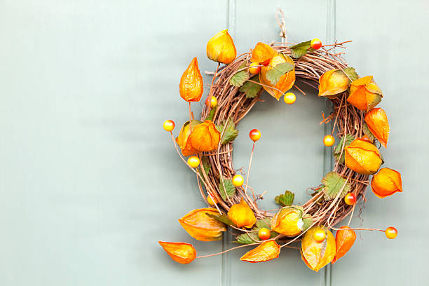 Autumnal and Winter fruit wreath with Cape Gooseberries entwined into a circular vine wreath. The Cape Gooseberry is also known as Physalis Peruviana, Inca berry, Aztec berry, golden berry, giant ground cherry, African ground cherry, Peruvian groundcherry, Peruvian cherry, pok pok, poha, ras bhari, aguaymanto, uvilla, uchuva, harankash,Love in a Cage and Physalis. The plant is distinctive for the paer-like lanterns that enclose the fruit. The wreath is hanging from a green painted door. Good copy space.
