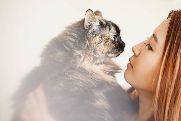 istock I'd spend all nine lives with you 486451516