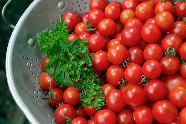 istock Freshly Picked Cherry Tomatoes and Parsley 486454750