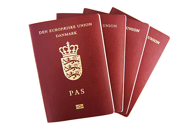 quatre laissez-passer pour les danois - social security card photos et images de collection