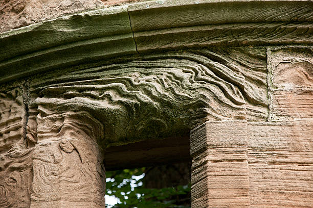 Seacliff House window detail hidden in the woods where nature is slowly reclaiming. 