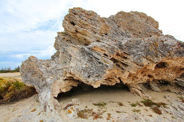 istock Rottnest Island, Australia 486460388