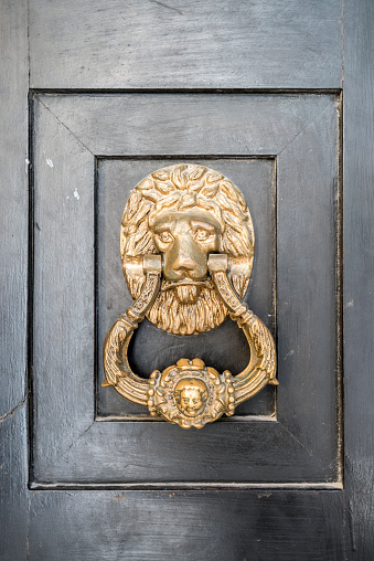 Black wooden door with a golden lion door knocker.
