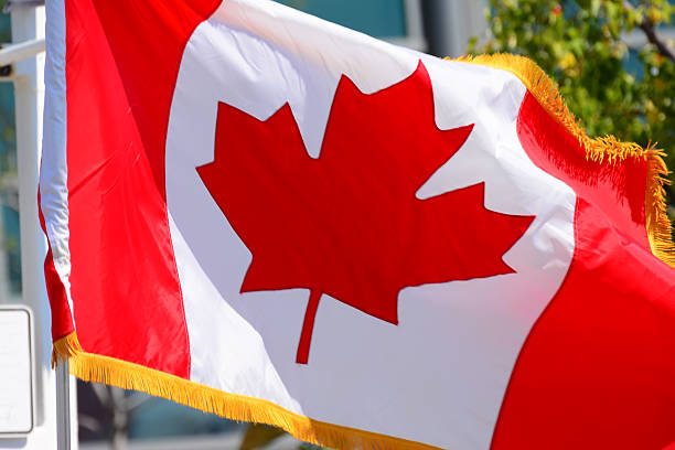 istock Canadian flag, Decorated 486463604