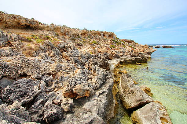 istock Rottnest Island, Australia 486464044