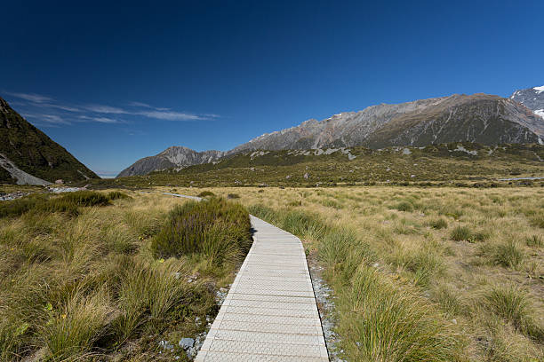 istock Mount Cook, Hooker Valley, New Zealand 486467952