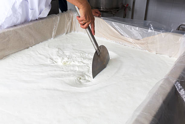 istock Cheese production creamery dairy worker mixing 486468234