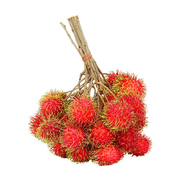 istock rambutan sweet delicious fruit isolated on white background 486468910