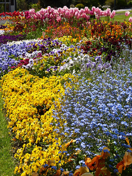 istock The National Botanical Gardens in Dublin 486469817