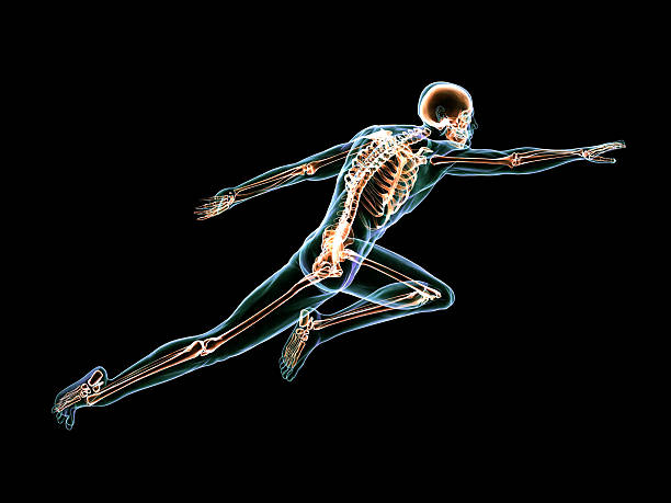 istock Anatomy of Superman 486471839