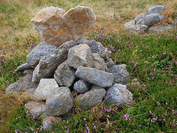 istock Heart of stone among the heather 486472167