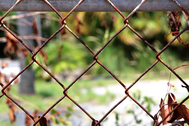 istock stuck behind the fence 486473660