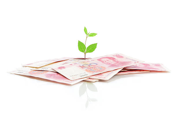 istock Green plant leaf growing on money 486474551