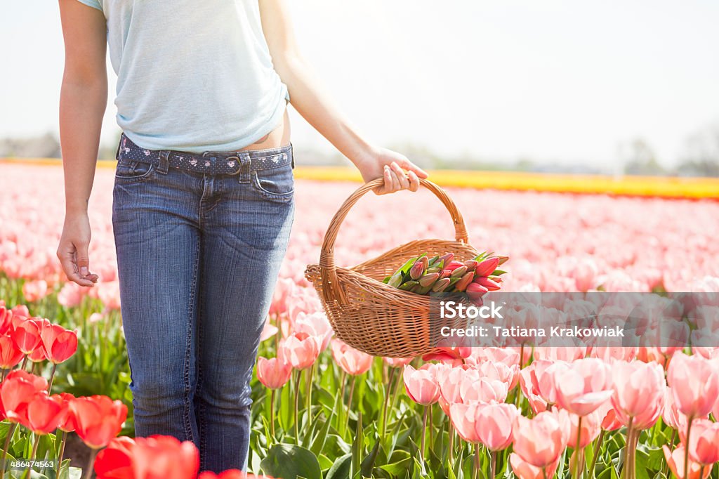 Dziewczyna z koszem kwiatów - Zbiór zdjęć royalty-free (20-24 lata)