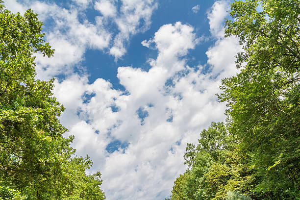 istock Views of the sky and clouds 486474698