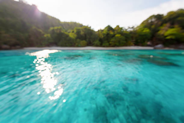 Blur sea background Blur beach and green blue sea surface with reflecting sunlight evening in summer for background honeymoon bay stock pictures, royalty-free photos & images