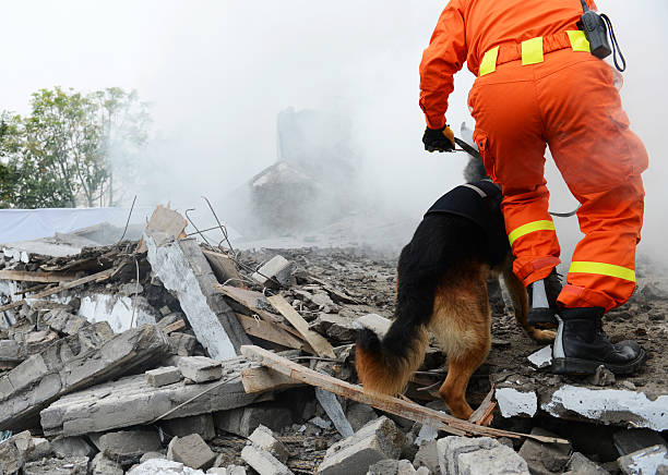 recherche et de sauvetage - rescue worker photos et images de collection