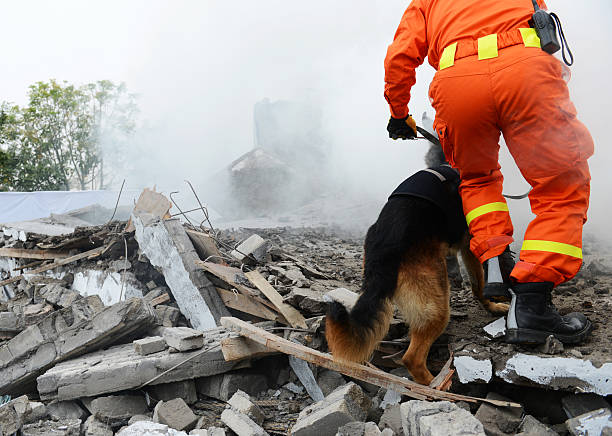 search and rescue Search and rescue forces search through a destroyed building with the help of rescue dogs. natural disaster stock pictures, royalty-free photos & images
