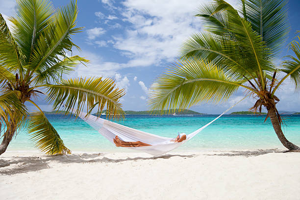 woman relaxing in a hammock at the Caribbean beach unrecognizable woman relaxing in a hammock at a Caribbean beach st john's plant stock pictures, royalty-free photos & images