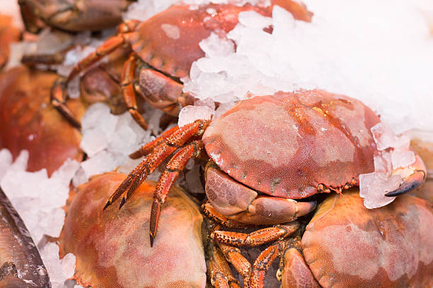istock Crabs in Borough Market, London 486476633