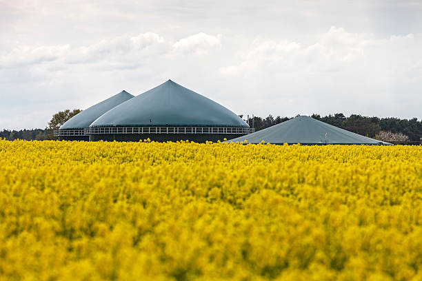 Biogas fahren plant – Foto