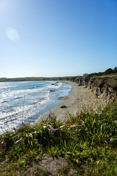 Wybrzeże Stanu Oregon 2 – zdjęcie