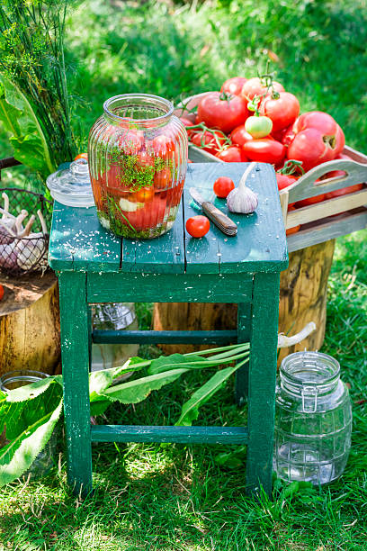 istock Homemade canned tomatoes in the jar 486479676