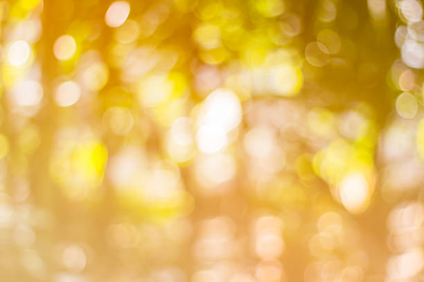 istock Abstract Bokeh of tree color for background 486480186