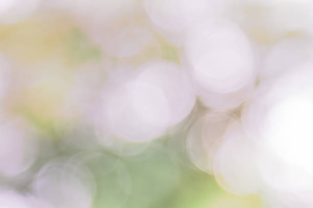 istock Abstract Bokeh of tree color for background 486480928