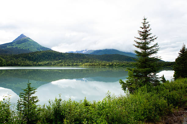 Cтоковое фото Alaskan природный