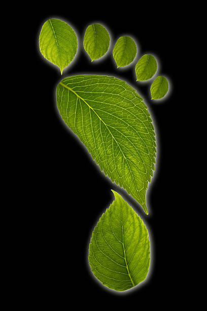 istock carbon footprint concept on black background 486484098