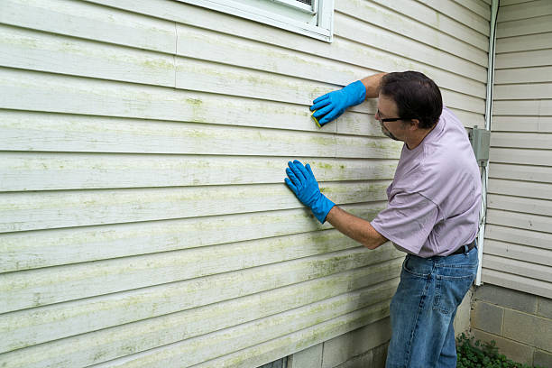 Contractor Cleaning Vinyl Siding Contractor cleaning algae and mold from vinyl siding of a customers home. shunting yard stock pictures, royalty-free photos & images