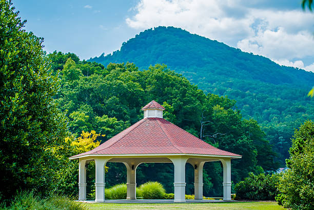 istock scenery around lake lure north carolina 486484652