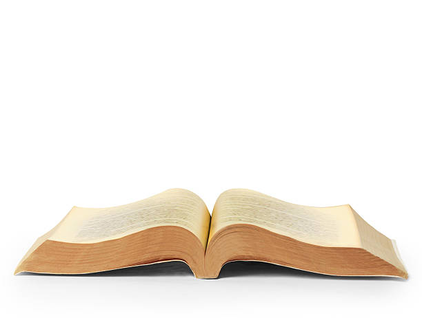 istock book of fantasy stories 486490656