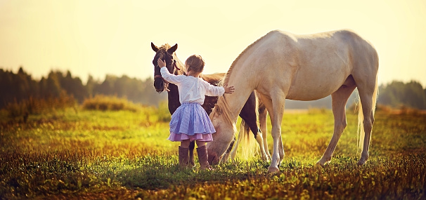 A cute little girl in jockey boots walking among tiny ponies in the field on a sunny summer day
