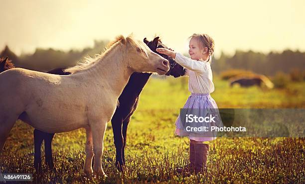 Little Girl And Ponies Stock Photo - Download Image Now - Child, Childhood, Livestock