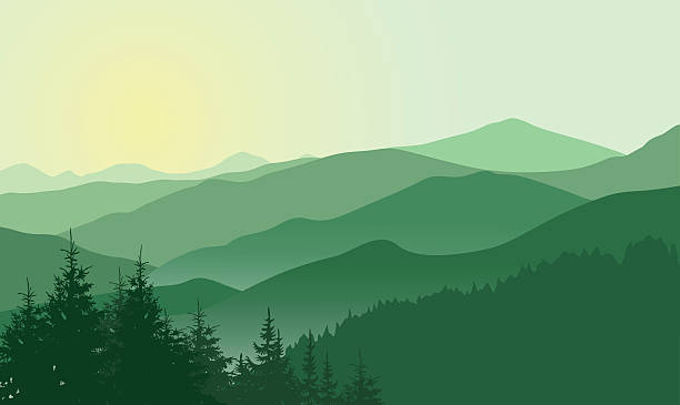 istock Beautiful sunrise in the green mountains 486491760