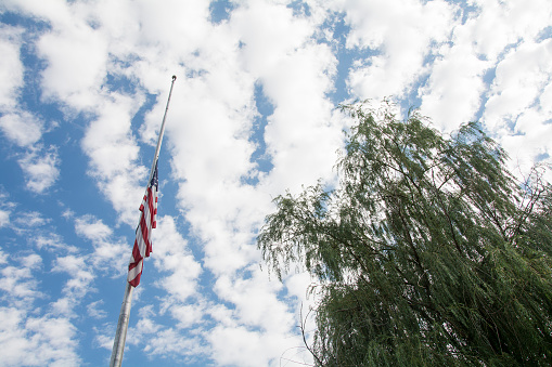 american flag and willow tree against cloudy sky showing growth,pride, and success