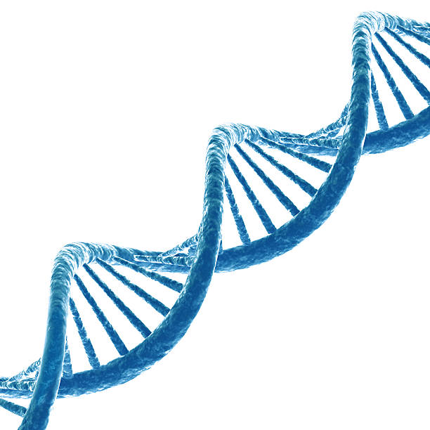 DNA molecule stock photo