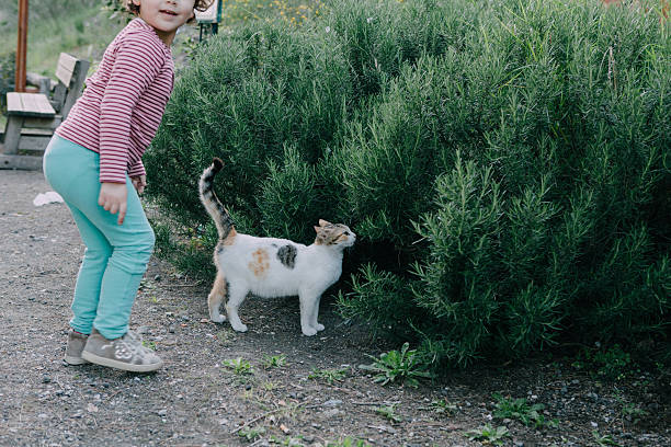 Little Girl With Stray Cat Little Girl Caressing a Stray Cat in a park, Italy. stray animal stock pictures, royalty-free photos & images