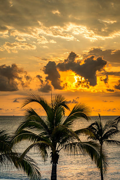 istock Puerto Vallarta evening 486502602