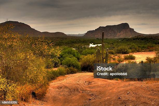 Foto de Desert Storm Saproximando e mais fotos de stock de Amarelo - Amarelo, Cacto Gigante, Cacto Gigante Americano