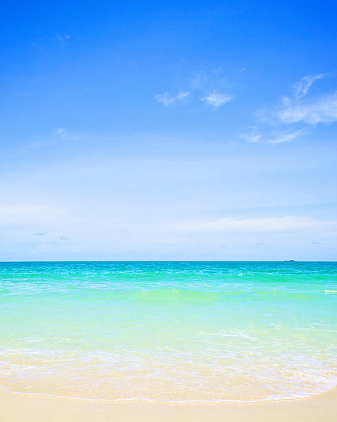 istock beach under the bright blue sky at summer day 486503219
