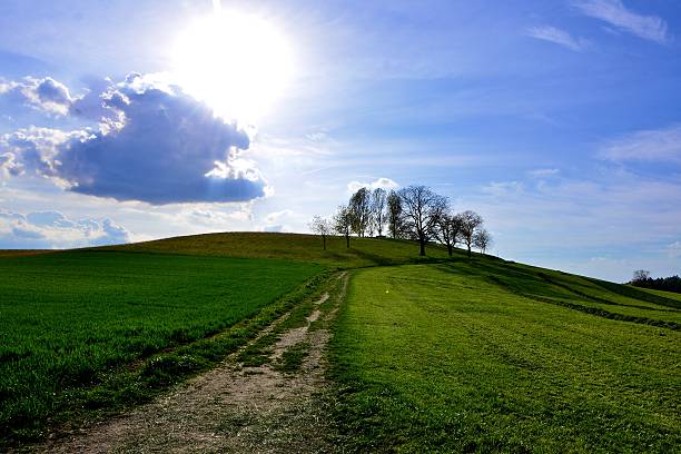 weg zum hügel - hinauf foto e immagini stock