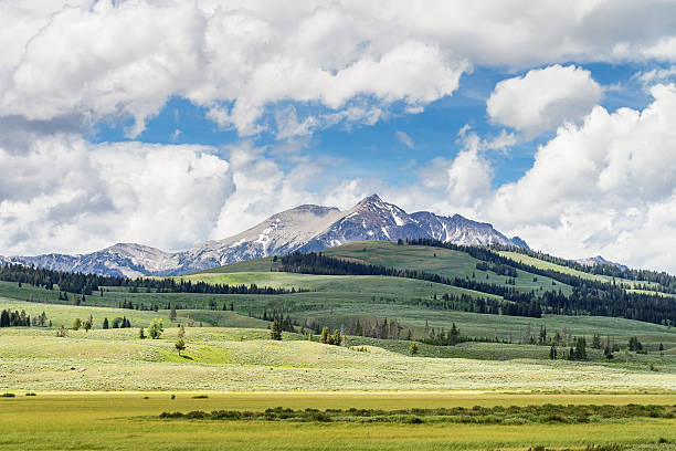 istock Yellowstone National Park Landscape 486505605