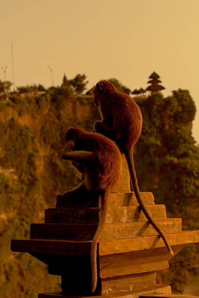 istock Coast at Uluwatu temple, Bali, Indonesia. 486505611