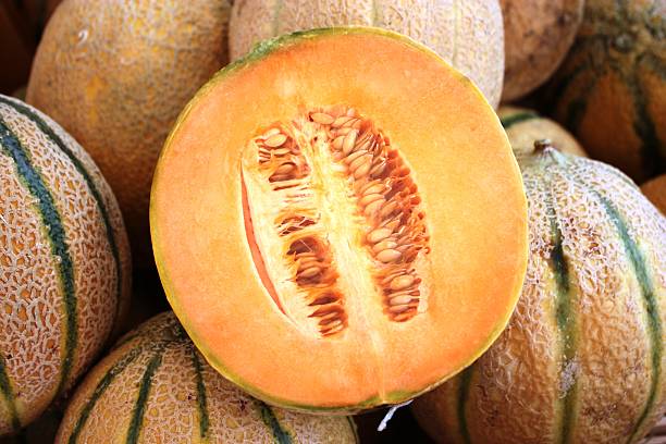 istock Cantaloupe melon Freshly harvested on the market 486505644
