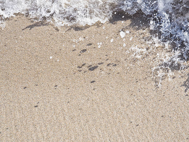 istock Wave of Waikiki Beach 486505751